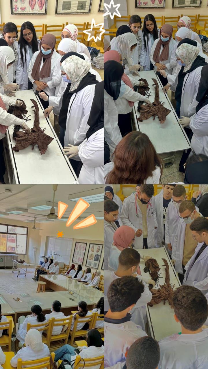 التدريب العملي لطلاب علاج طبيعي القاهرة الأهلية داخل معامل تشريح الجامعة الأم