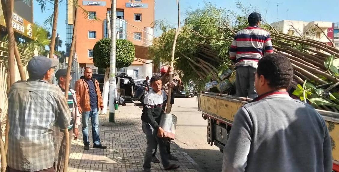 محافظ الدقهلية: استمرار زراعة الأشجار في المرحلة الرابعة من مبادرة "100 مليون شجرة"