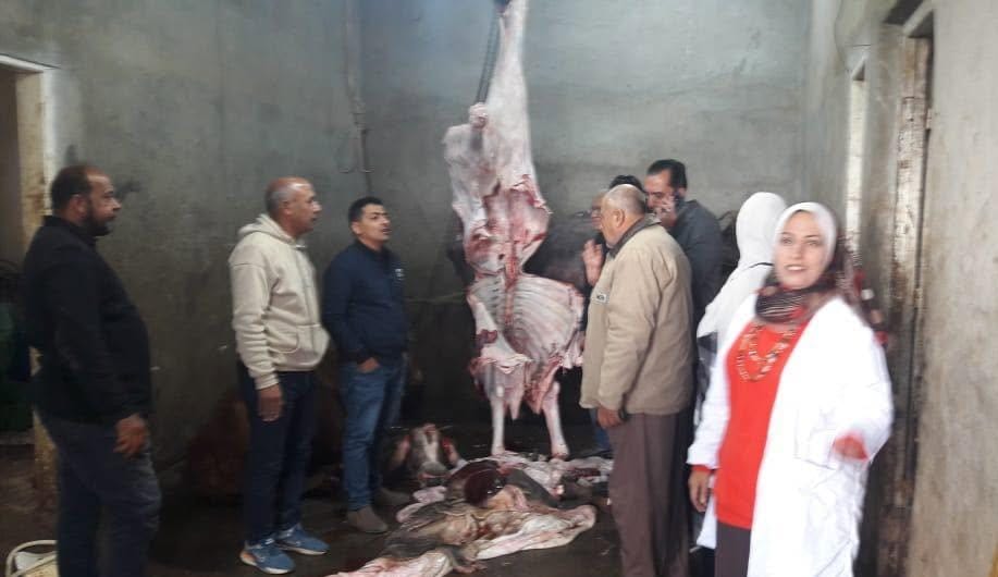 محافظ المنوفية: ضبط ذبائح مريضة وغير صالحة للإستخدام الآدمي.. وإحالة الواقعة للنيابة العامة