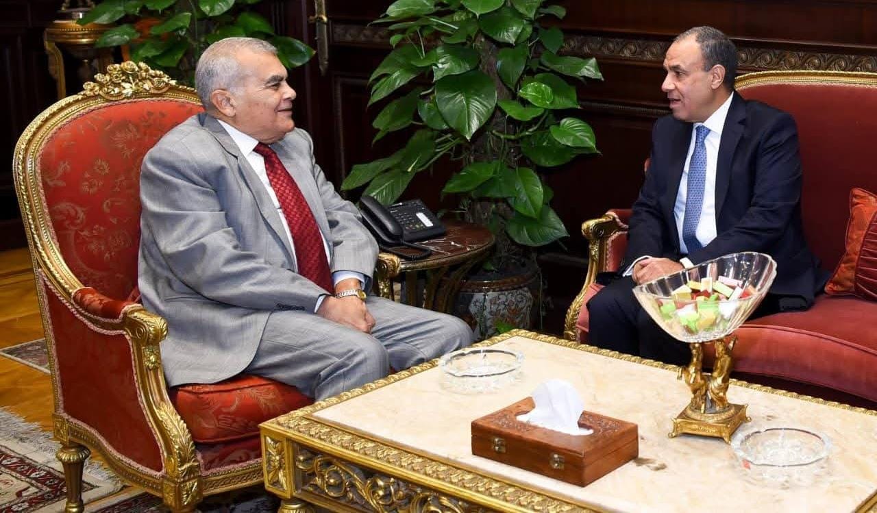 وزير الخارجية يلتقي رئيس مجلس الشيوخ