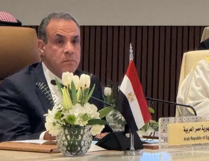 عبدالعاطي: تهجير الفلسطينيين أحد الخطوط الحمراء التي وضعها الرئيس للسياسة الخارجية