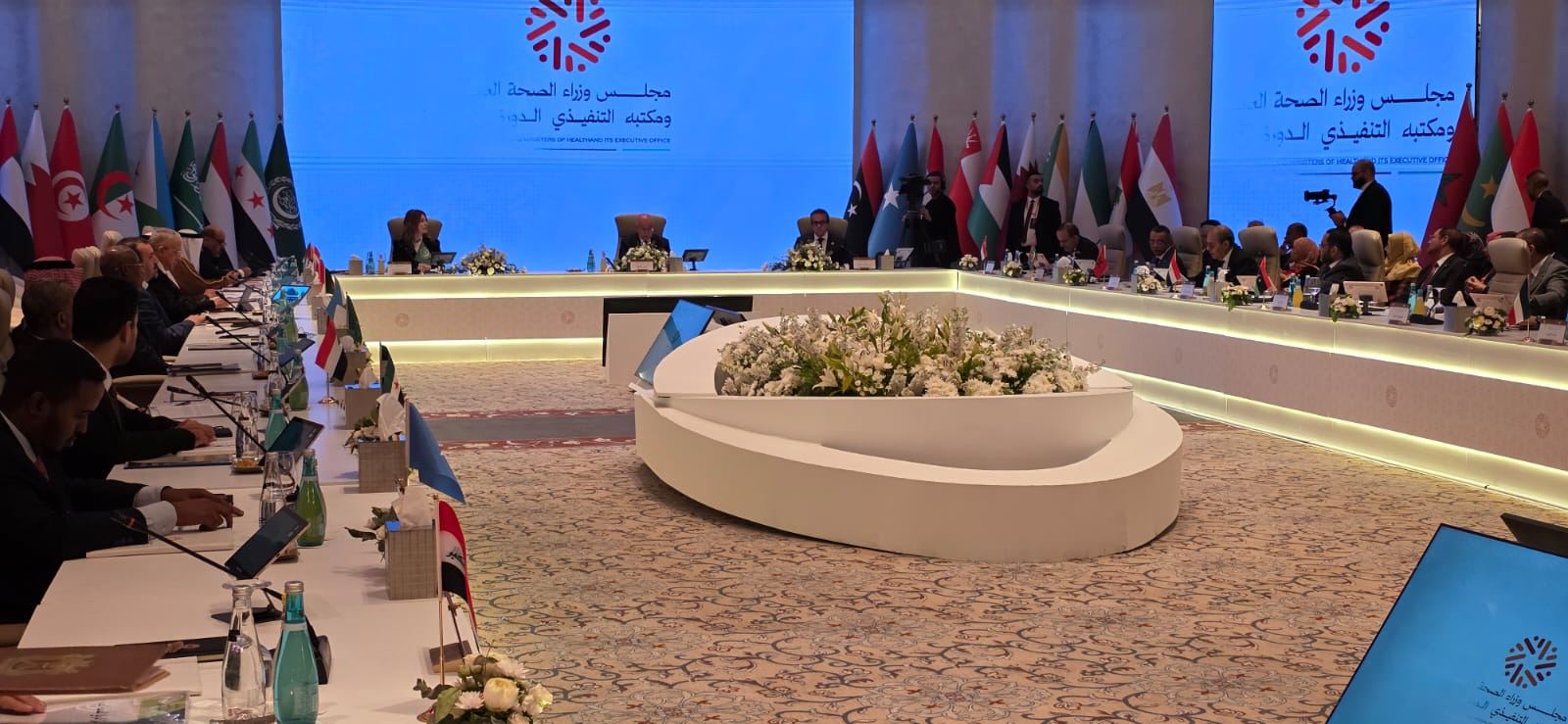 مصر تطالب بدعم النظام الصحي الفلسطيني