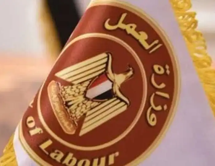 فرص عمل جديدة لشباب الجيزة برواتب 8000 جنيه
