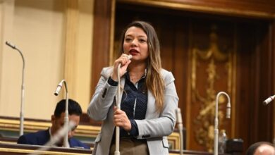 النائبة مي كرم جبر