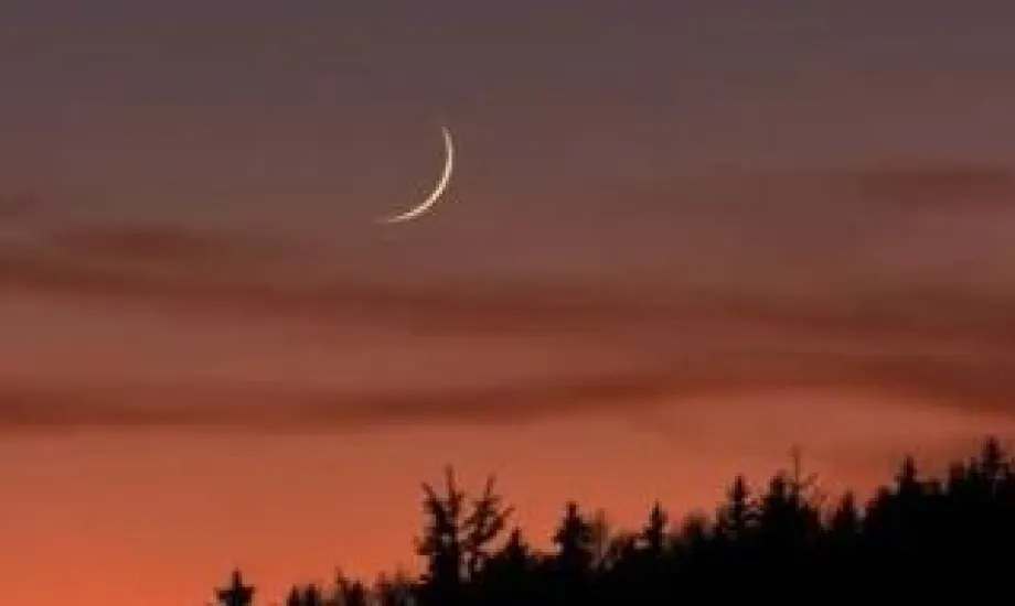 التموين تستعد لتأمين الاحتياجات من السلع الأساسية خلال رمضان