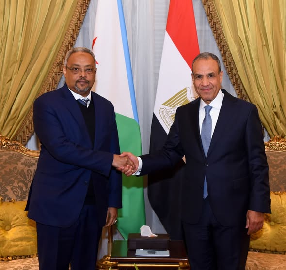 وزير الخارجية يبحث مع نظيره الجيبوتي سبل تعزيز العلاقات الثنائية وتطورات الأوضاع في منطقة القرن الأفريقي