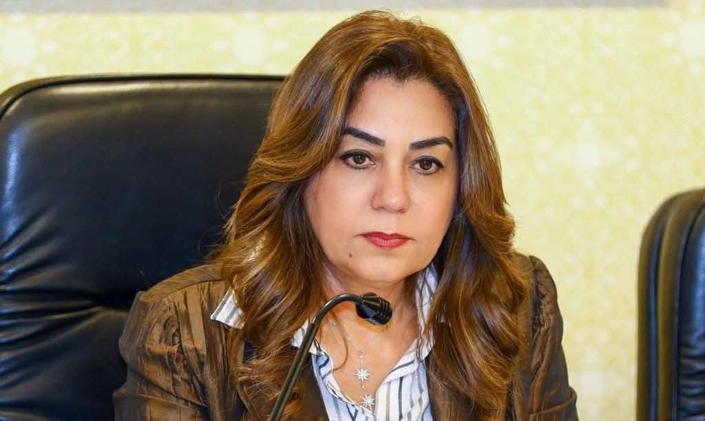 وزيرة التنمية المحلية تبحث مع رئيس الجهاز المركزي للتنظيم والإدارة تحديث الهياكل التنظيمية