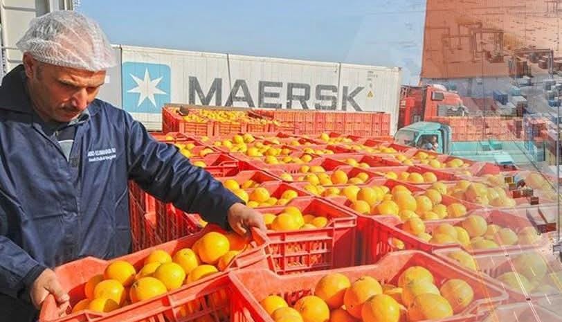 فتح سوق جمهورية الدومينيكان أمام الموالح المصرية والرمان