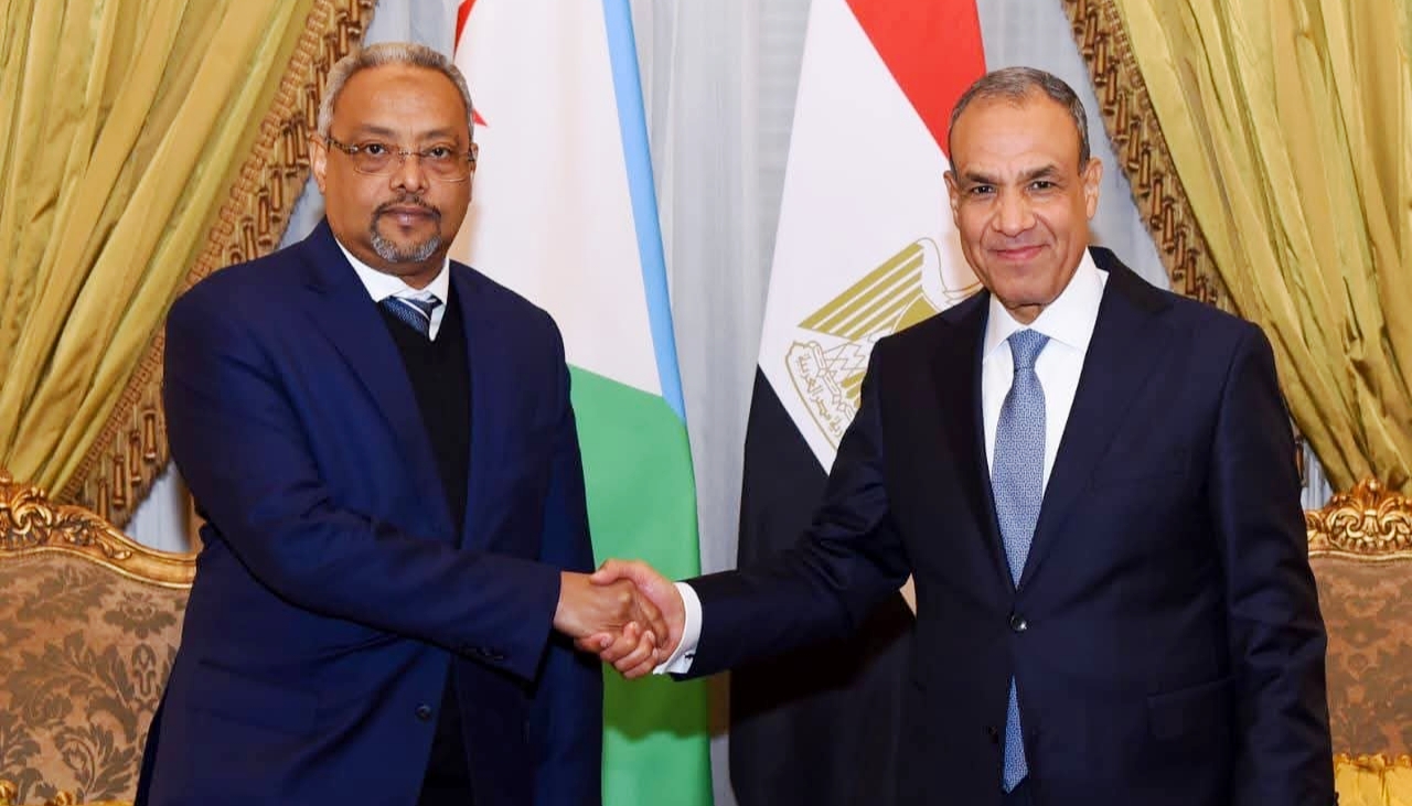وزير الخارجية يبحث مع نظيره الجيبوتي سبل تعزيز العلاقات الثنائية