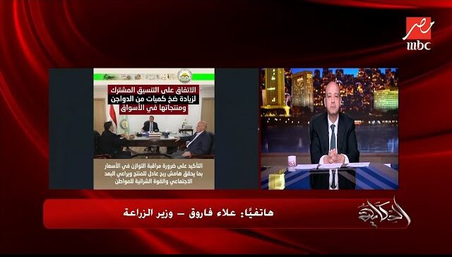 كيف ستواجه الدولة ارتفاع اسعار الفراخ وخطتها لمواجهة انتشار الكلاب الضالة