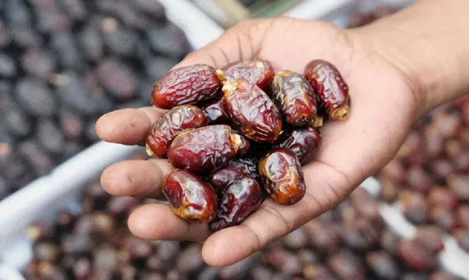 الحكومة توضح حقيقة استيراد تمور من إسرائيل قبل رمضان