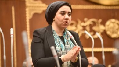 النائبة أميرة صابر