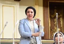 النائبة أميرة صابر