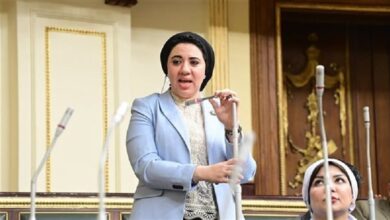 النائبة أميرة صابر