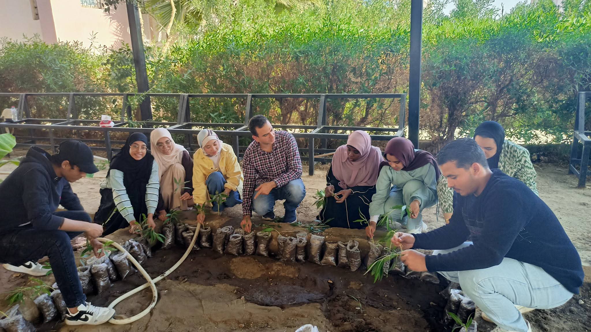 لتعزيز الوعي البيئي.. المكتب الأخضر ينظم يوم التشجير بجامعة الأقصر