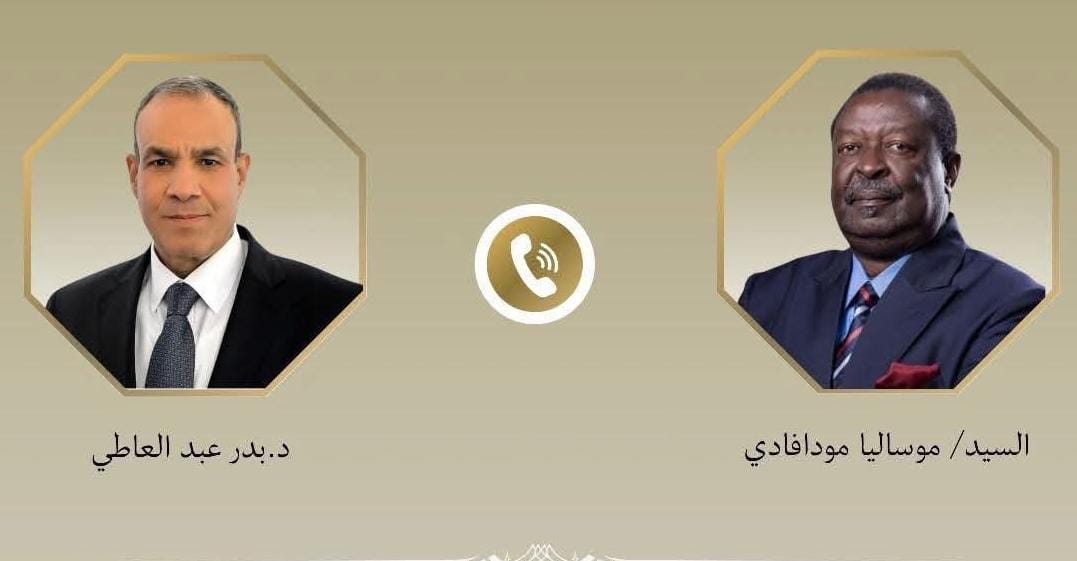 اتصال هاتفي بين وزير الخارجية ونظيره الكيني