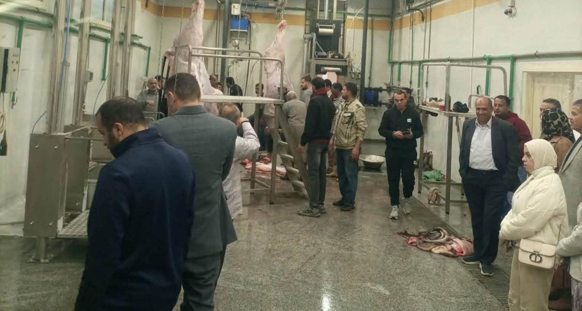 بدء التشغيل التجريبي لمجزر بيلا بكفر الشيخ بتكلفة 23 مليون جنيه