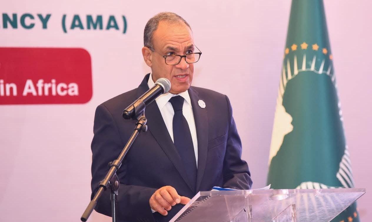 وزير الخارجية يطرح رؤية مصر الشاملة لتعزيز التصنيع الدوائي والأمن الصحي في إفريقيا