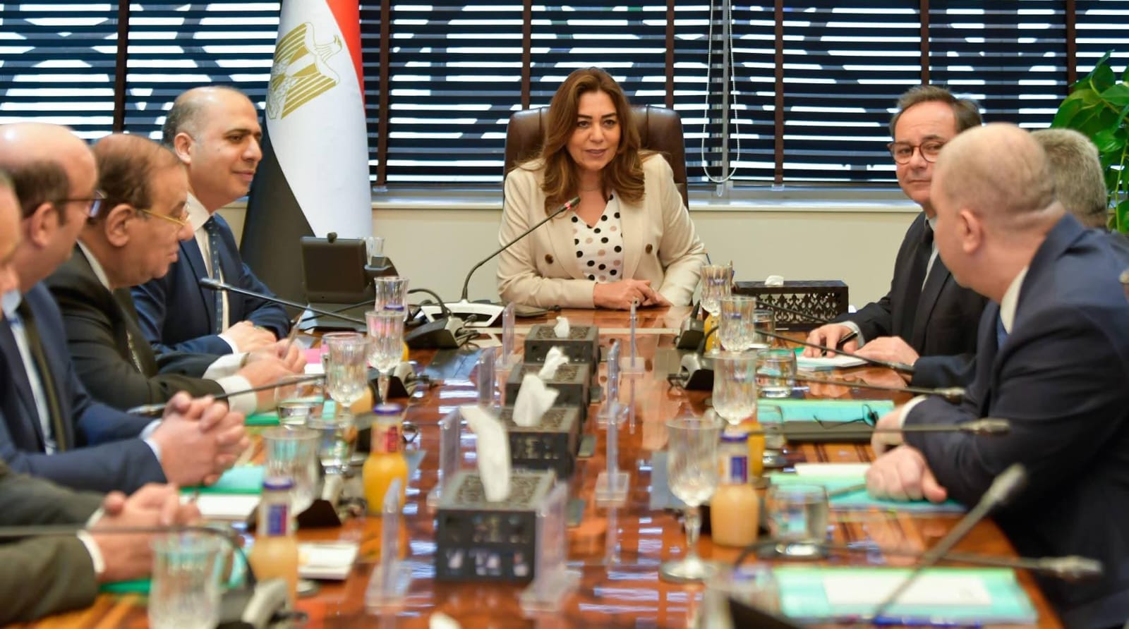 التوسع في إنشاء وحدات "البيوجاز" بمحافظات الصعيد للاستفادة من المخلفات الزراعية