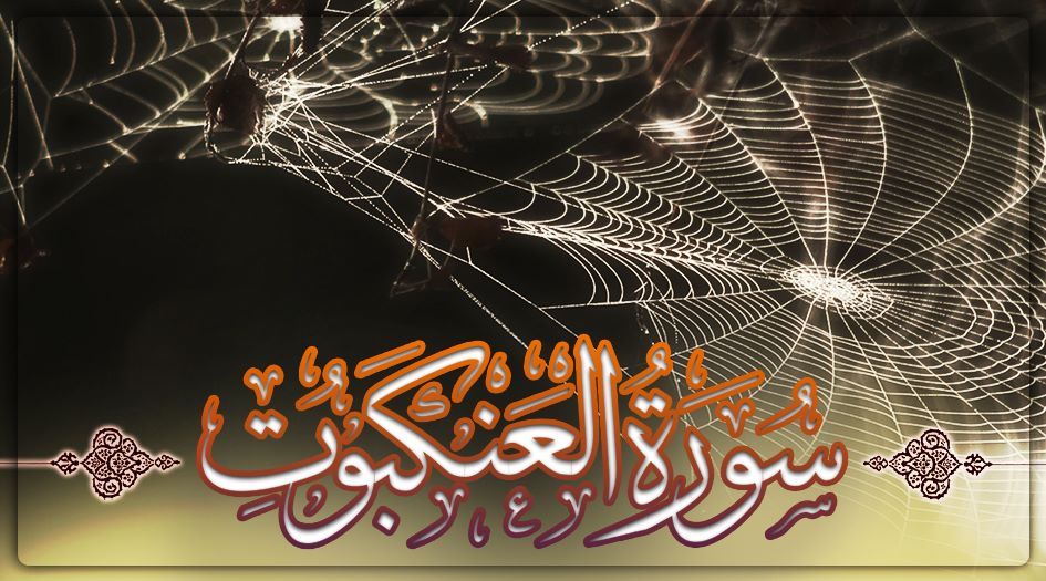 أستاذ بالأزهر: سورة العنكبوت ترشدنا إلى أفضل أسلوب للحوار مع أهل الكتاب