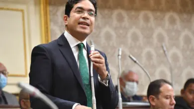 ضياء الدين داود