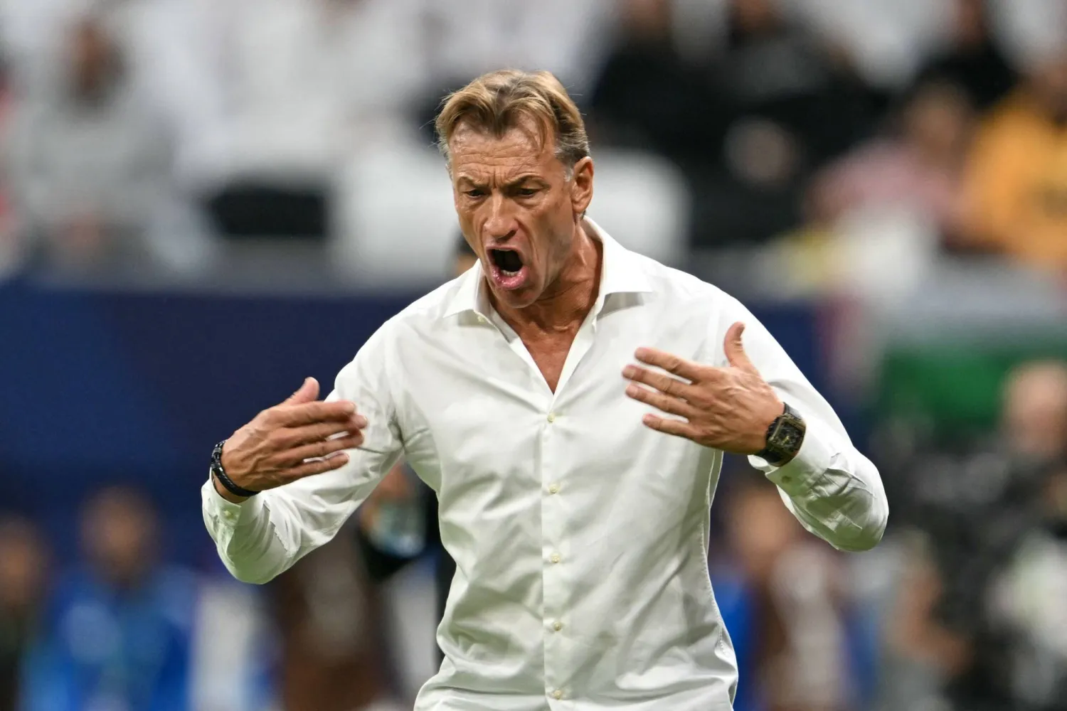 قبل شهرين من كأس العالم .. إقالة رينارد من تدريب منتخب السعودية