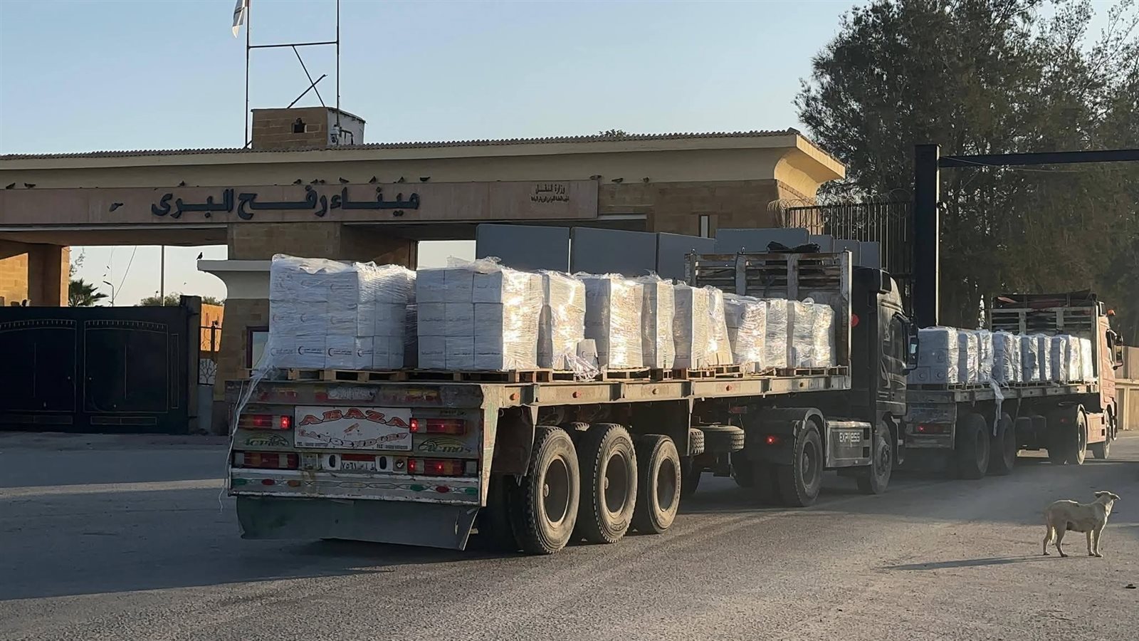 الهلال الأحمر يدفع بـ 5،060 طنًا من المساعدات عبر «زاد العزة» الـ 175