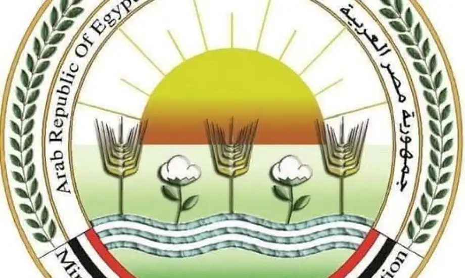 الزراعة تحذر مربي الماشية من لقاح مجهول لحمى قلاعية.. تهديد مباشر للثروة الحيوانية