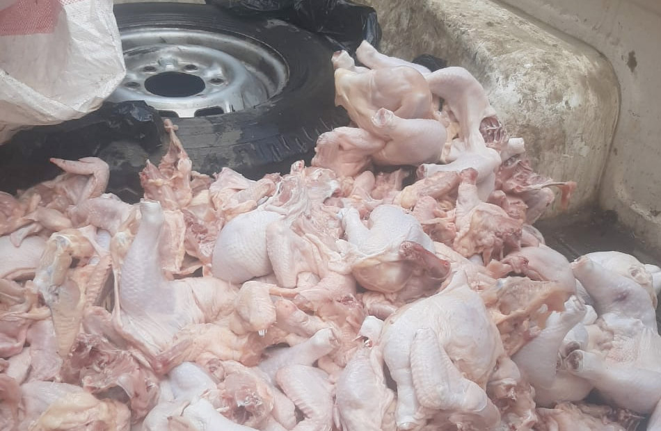 التموين: ضبط وإعدام 3 أطنان دواجن نافقة وغير صالحة للاستهلاك الآدمي بالجيزة