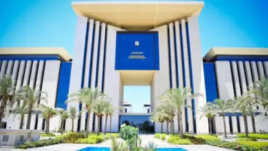 وزارة الخارجية والتعاون الدولي والمصريين بالخارج