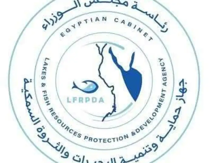 جهود حكومية لزيادة الإنتاج السمكي ودعم الأمن الغذائي