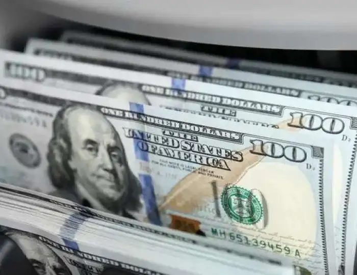 سعر الدولار أمام الجنيه المصري اليوم الجمعة 29 مايو 2026