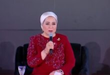 انتصار السيسي