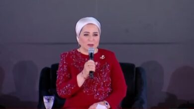 انتصار السيسي