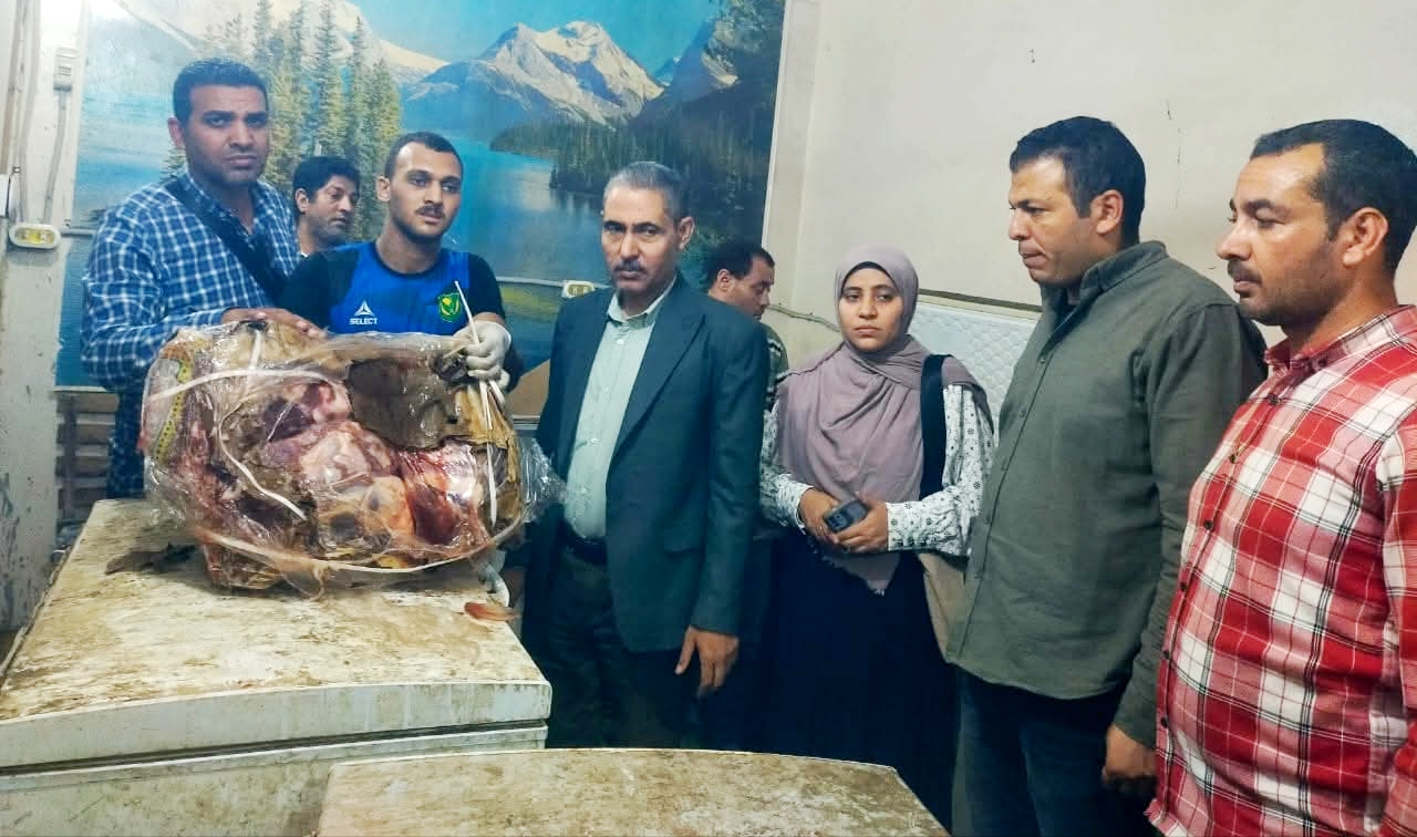 محافظ أسيوط: ضبط 3 أطنان لحوم ودواجن وأسماك غير صالحة بمركز منفلوط