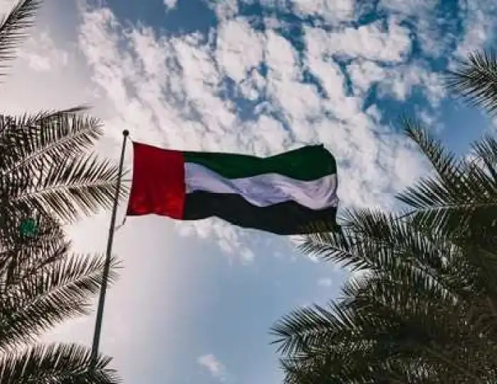 الإمارات: تحويل الدراسة إلى نظام التعلم عن بعد