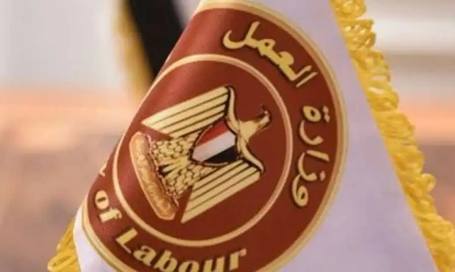 راتب 15 ألف جنيه.. وزارة العمل تعلن وظائف متاحة للشباب «اعرف طريقة التقديم»