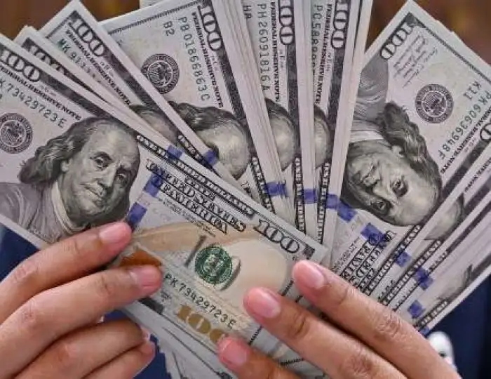 توقعات سعر الدولار الفترة المقبلة.. خبيرة تكشف مفاجأة