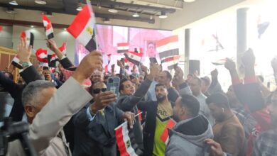 المصريين بالخارج