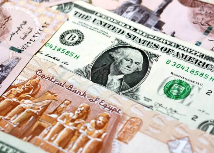 تحديث سعر الدولار اليوم مقابل الجنيه بعد التراجع الآخير