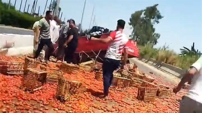 انقلاب سيارة محملة بالطماطم بطريق كفرالزيات