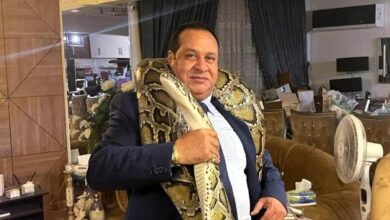 صبري نخنوخ