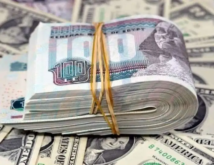تحديث سعر الدولار الآن مقابل الجنيه المصري يوم الجمعة
