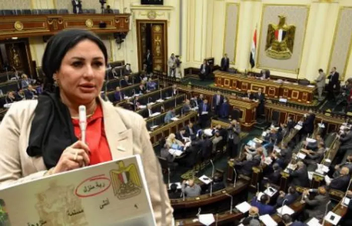 مقترح برلماني لتغيير «ربة منزل» إلى «صانعة جيل» في بطاقة الرقم القومي