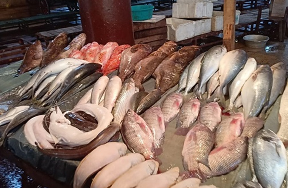 أسعار الأسماك فى سوق العبور اليوم الأحد 19 يوليو