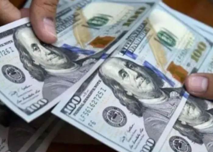 سعر الدولار أمام الجنيه في ختام تعاملات الأربعاء