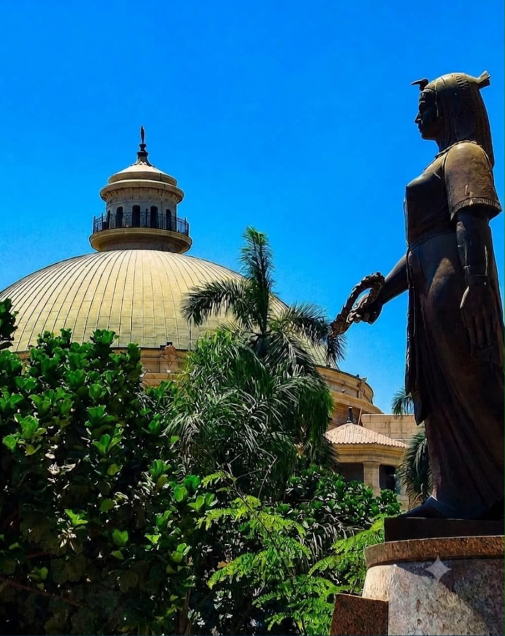 فتح باب تحويلات جامعة القاهرة اعتبارًا من يوم 30 أغسطس