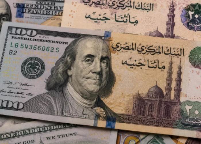 تراجع سعر الدولار أمام الجنيه في ختام تعاملات الأربعاء